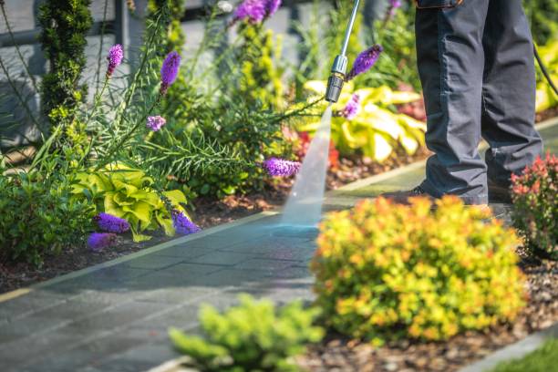 Best Dumpster Area Cleaning  in Walworth, WI