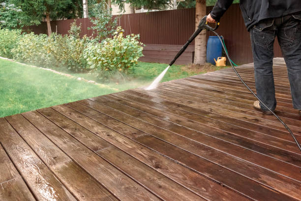 Best Roof Washing  in Walworth, WI